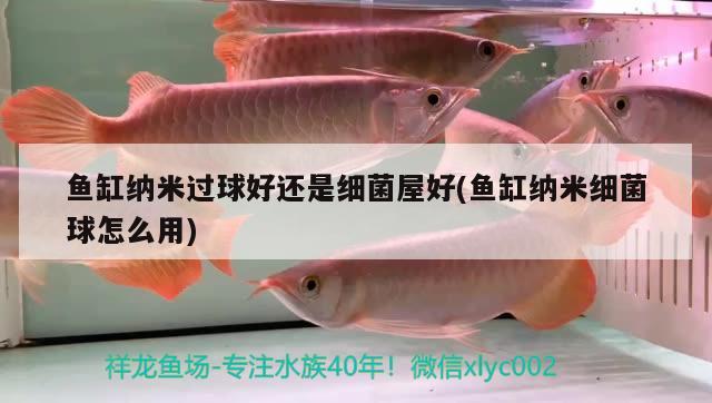 魚(yú)缸納米過(guò)球好還是細(xì)菌屋好(魚(yú)缸納米細(xì)菌球怎么用) 圣菲埃及魚(yú)