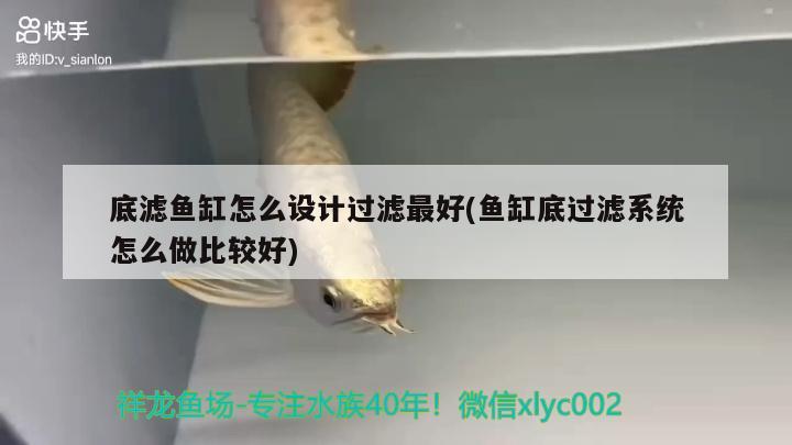 底濾魚(yú)缸怎么設(shè)計(jì)過(guò)濾最好(魚(yú)缸底過(guò)濾系統(tǒng)怎么做比較好)