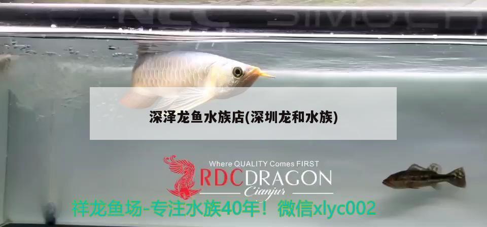 深澤龍魚水族店(深圳龍和水族) 除藻劑