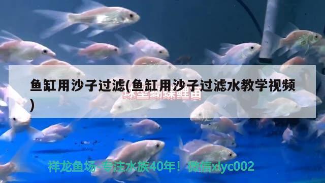 魚缸用沙子過濾(魚缸用沙子過濾水教學(xué)視頻)