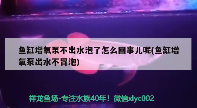 魚缸增氧泵不出水泡了怎么回事兒呢(魚缸增氧泵出水不冒泡) PH調(diào)節(jié)劑