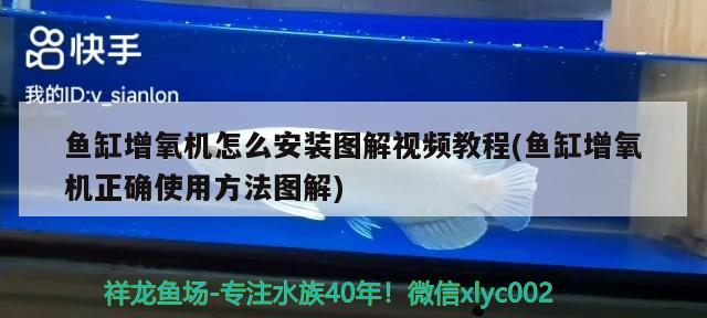 魚缸增氧機怎么安裝圖解視頻教程(魚缸增氧機正確使用方法圖解) 祥龍水族濾材/器材