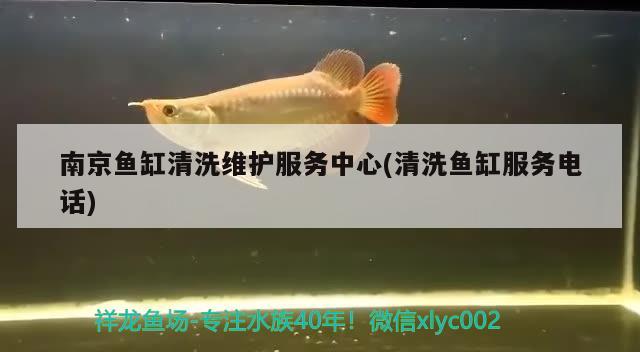 南京魚缸清洗維護(hù)服務(wù)中心(清洗魚缸服務(wù)電話)