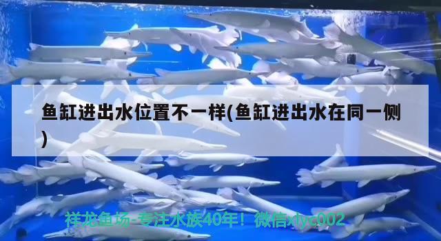 魚缸進出水位置不一樣(魚缸進出水在同一側(cè))