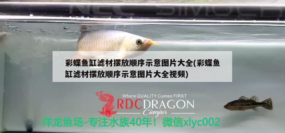 彩蝶魚缸濾材擺放順序示意圖片大全(彩蝶魚缸濾材擺放順序示意圖片大全視頻) 廣州水族批發(fā)市場