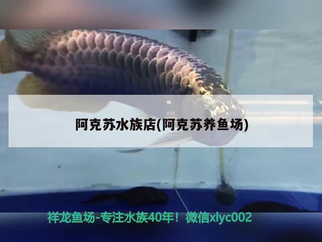 阿克蘇水族店(阿克蘇養(yǎng)魚場(chǎng))