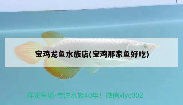 寶雞龍魚水族店(寶雞那家魚好吃) 養(yǎng)魚知識