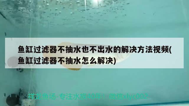 魚缸過濾器不抽水也不出水的解決方法視頻(魚缸過濾器不抽水怎么解決) 觀賞魚批發(fā)