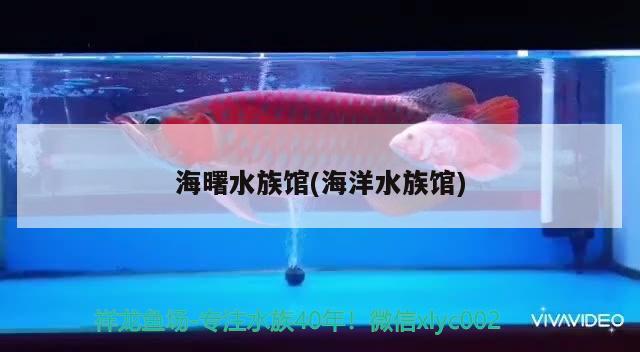 海曙水族館(海洋水族館) 金龍魚(yú)糧