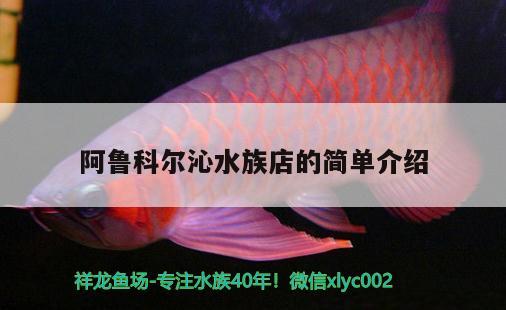 阿魯科爾沁水族店的簡單介紹