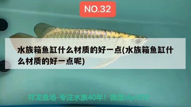 水族箱魚缸什么材質(zhì)的好一點(水族箱魚缸什么材質(zhì)的好一點呢) 魚缸/水族箱