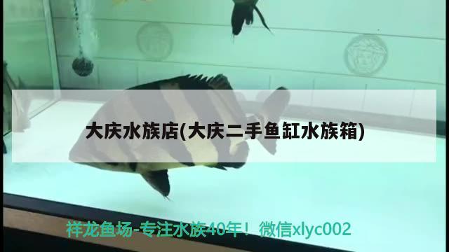 大慶水族店(大慶二手魚缸水族箱) 魚缸/水族箱