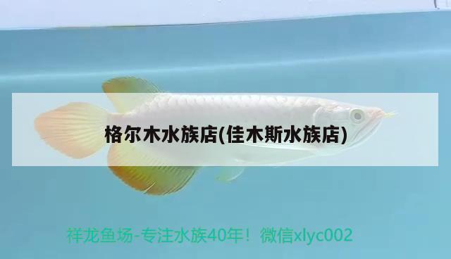 格爾木水族店(佳木斯水族店) 廣州觀賞魚(yú)魚(yú)苗批發(fā)市場(chǎng)