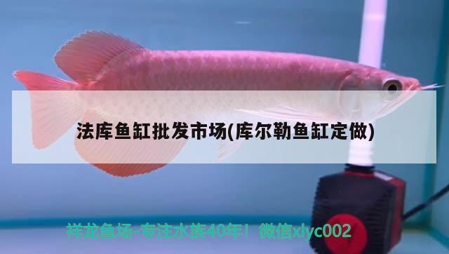 法庫(kù)魚缸批發(fā)市場(chǎng)(庫(kù)爾勒魚缸定做) 丹頂錦鯉魚