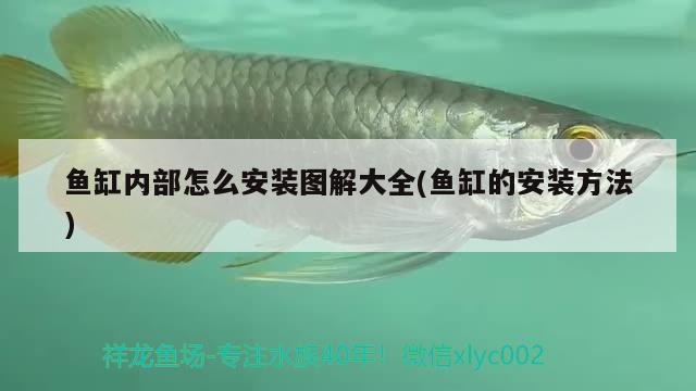 魚缸內(nèi)部怎么安裝圖解大全(魚缸的安裝方法) 藍帆三間魚