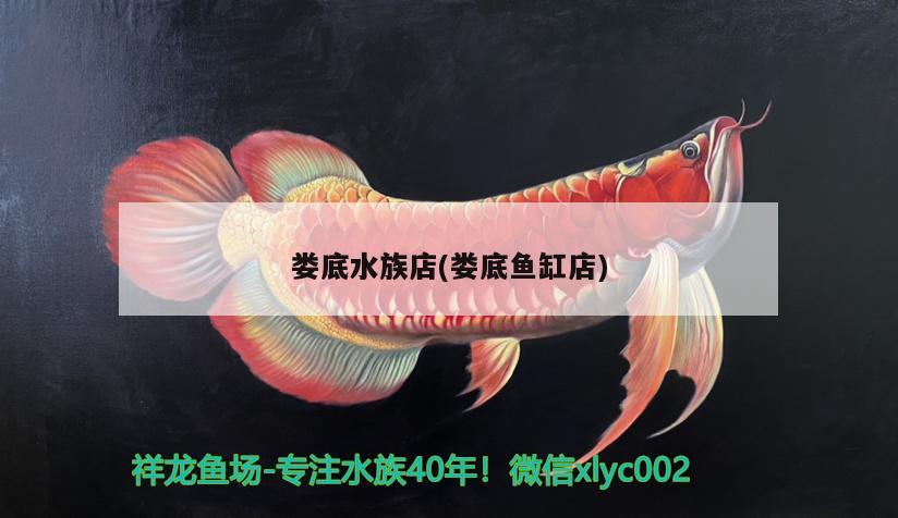 婁底水族店(婁底魚(yú)缸店)