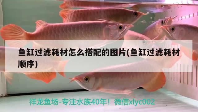 魚缸過濾耗材怎么搭配的圖片(魚缸過濾耗材順序) 水族世界