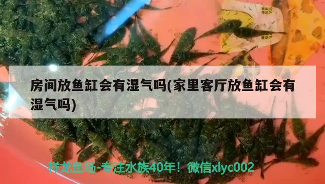 房間放魚缸會(huì)有濕氣嗎(家里客廳放魚缸會(huì)有濕氣嗎)