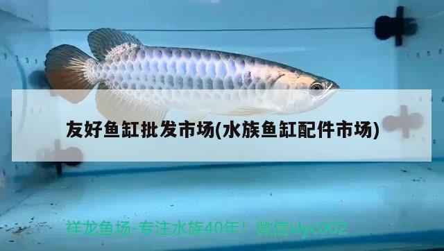 友好魚缸批發(fā)市場(水族魚缸配件市場)