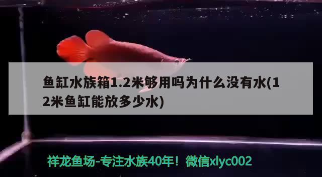 魚缸水族箱1.2米夠用嗎為什么沒有水(12米魚缸能放多少水) 魚缸/水族箱