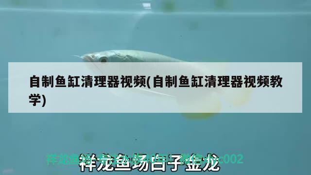 自制魚缸清理器視頻(自制魚缸清理器視頻教學)