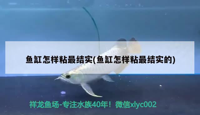 魚缸怎樣粘最結(jié)實(shí)(魚缸怎樣粘最結(jié)實(shí)的) 魚缸水質(zhì)穩(wěn)定劑