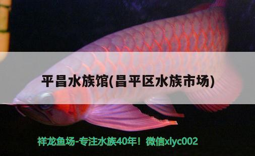 平昌水族館(昌平區(qū)水族市場(chǎng)) 養(yǎng)魚知識(shí)