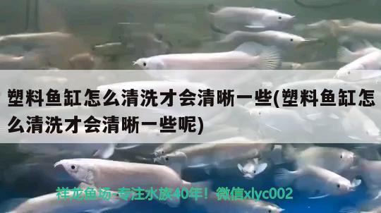 塑料魚缸怎么清洗才會清晰一些(塑料魚缸怎么清洗才會清晰一些呢)