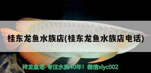 桂東龍魚(yú)水族店(桂東龍魚(yú)水族店電話)