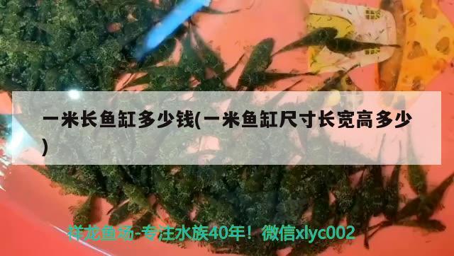 一米長(zhǎng)魚(yú)缸多少錢(qián)(一米魚(yú)缸尺寸長(zhǎng)寬高多少) 南美異型魚(yú)