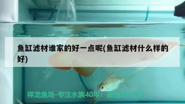 魚缸濾材誰家的好一點呢(魚缸濾材什么樣的好) 申古銀版魚