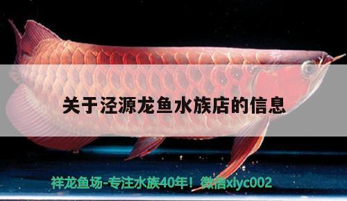 關(guān)于涇源龍魚水族店的信息 水族世界