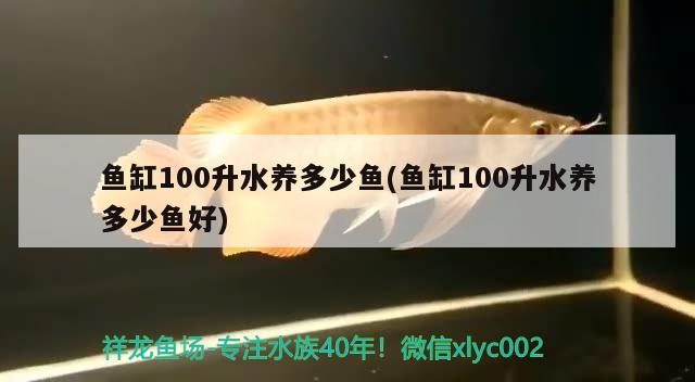 魚(yú)缸100升水養(yǎng)多少魚(yú)(魚(yú)缸100升水養(yǎng)多少魚(yú)好) 觀賞魚(yú)批發(fā)