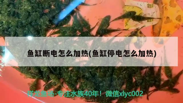 魚缸斷電怎么加熱(魚缸停電怎么加熱)