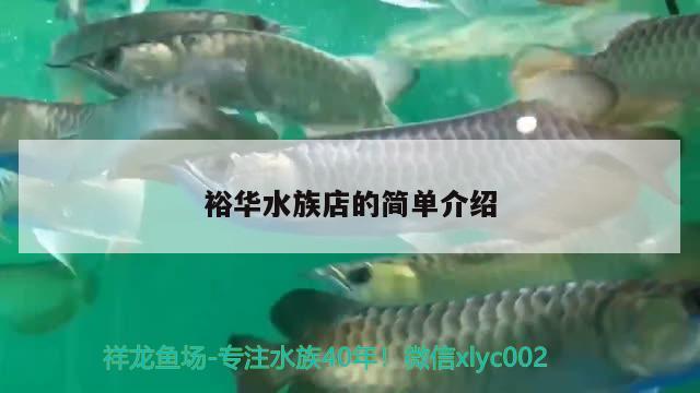 裕華水族店的簡單介紹 金三間魚