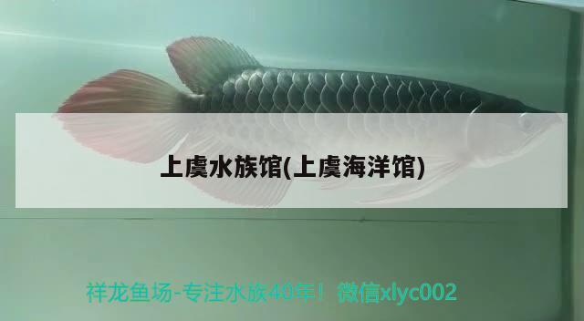 上虞水族館(上虞海洋館) 魚(yú)缸水質(zhì)穩(wěn)定劑