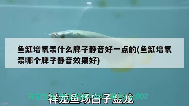 魚缸增氧泵什么牌子靜音好一點(diǎn)的(魚缸增氧泵哪個牌子靜音效果好) 錦鯉魚百科