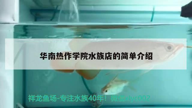 華南熱作學(xué)院水族店的簡(jiǎn)單介紹 龍魚專用燈