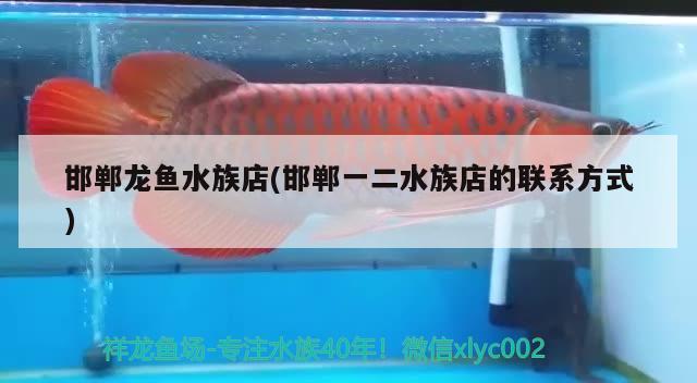 邯鄲龍魚水族店(邯鄲一二水族店的聯(lián)系方式)