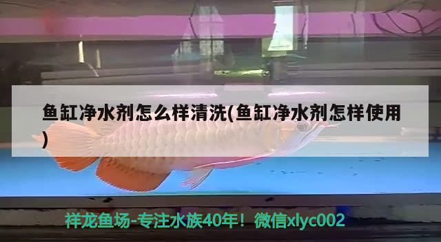 魚缸凈水劑怎么樣清洗(魚缸凈水劑怎樣使用)