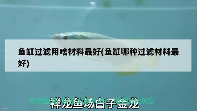 魚(yú)缸過(guò)濾用啥材料最好(魚(yú)缸哪種過(guò)濾材料最好) 飛鳳魚(yú)