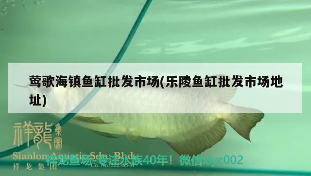 鶯歌海鎮(zhèn)魚缸批發(fā)市場(樂陵魚缸批發(fā)市場地址) PH調節(jié)劑