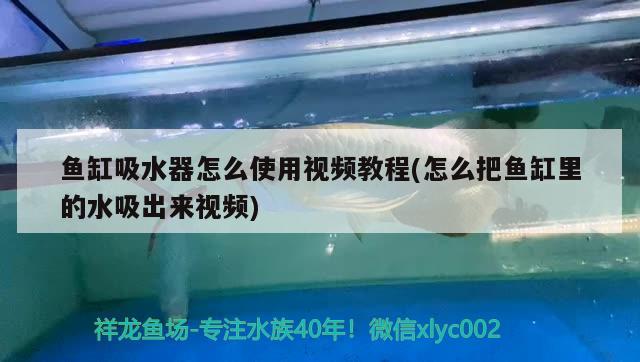 魚缸吸水器怎么使用視頻教程(怎么把魚缸里的水吸出來視頻)