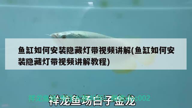 魚缸如何安裝隱藏?zé)魩б曨l講解(魚缸如何安裝隱藏?zé)魩б曨l講解教程)