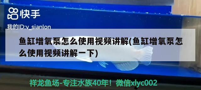 魚缸增氧泵怎么使用視頻講解(魚缸增氧泵怎么使用視頻講解一下) 飛鳳魚苗