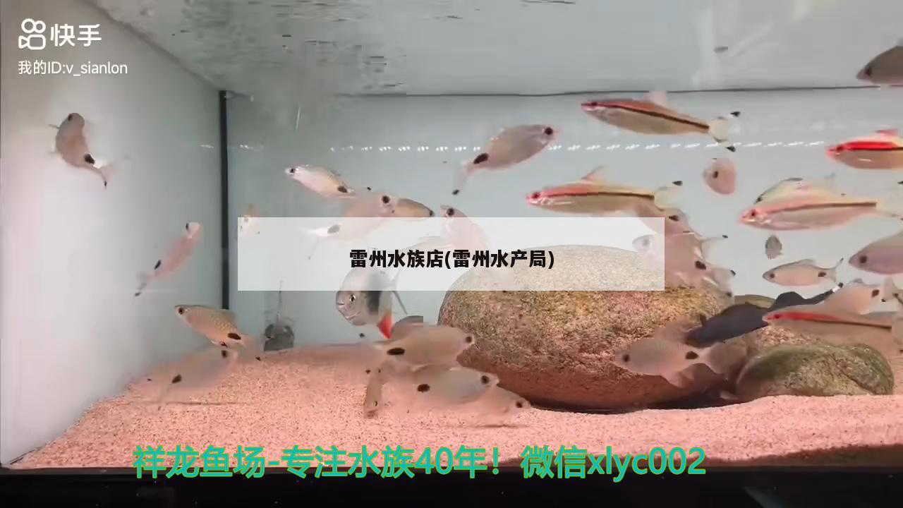 雷州水族店(雷州水產(chǎn)局) 觀賞魚市場（混養(yǎng)魚）