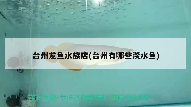 臺(tái)州龍魚水族店(臺(tái)州有哪些淡水魚) 海象魚