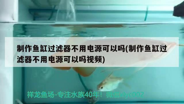 制作魚缸過濾器不用電源可以嗎(制作魚缸過濾器不用電源可以嗎視頻)