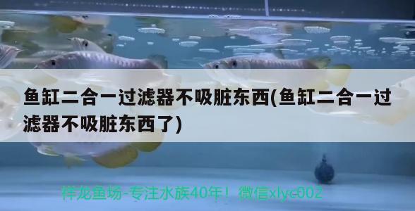 魚缸二合一過濾器不吸臟東西(魚缸二合一過濾器不吸臟東西了) 孵化器