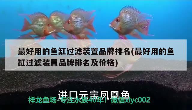 最好用的魚缸過濾裝置品牌排名(最好用的魚缸過濾裝置品牌排名及價格) 朱巴利魚